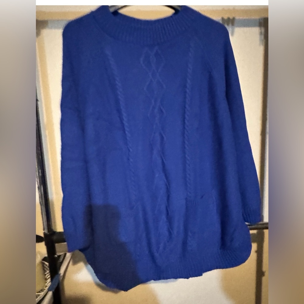 Anthony Richard’s Blue Sweater